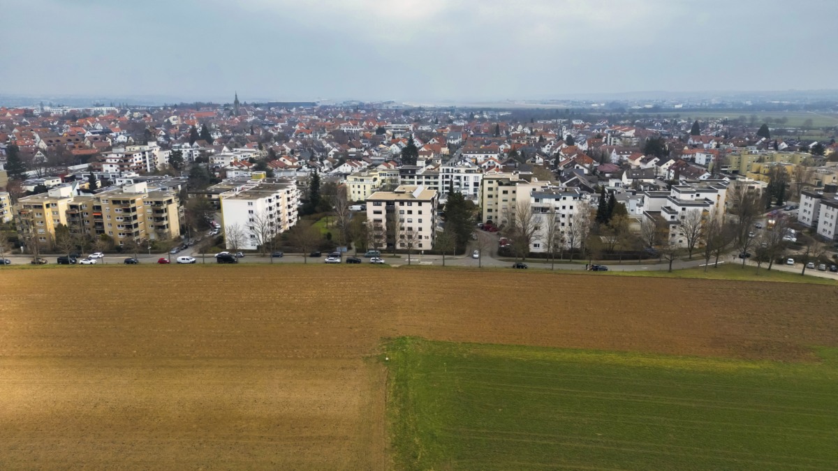 Goldaecker KaepseLE Leinfelden Echterdingen  Bestand